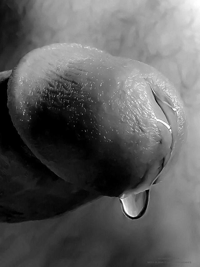 010e5e8625a9_6559E504-AB76-47C3-AA00-F3E218251A6E.jpeg