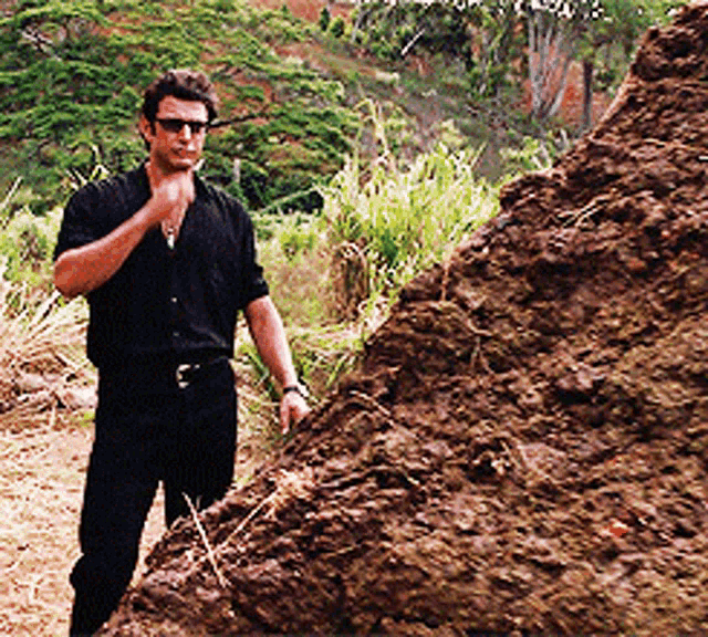 1000014176.gif