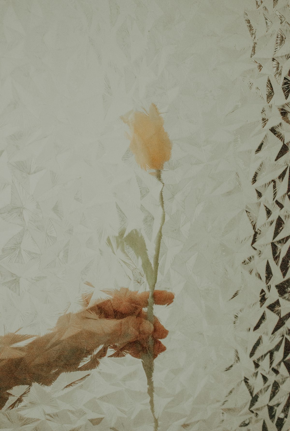 1000024825.jpg