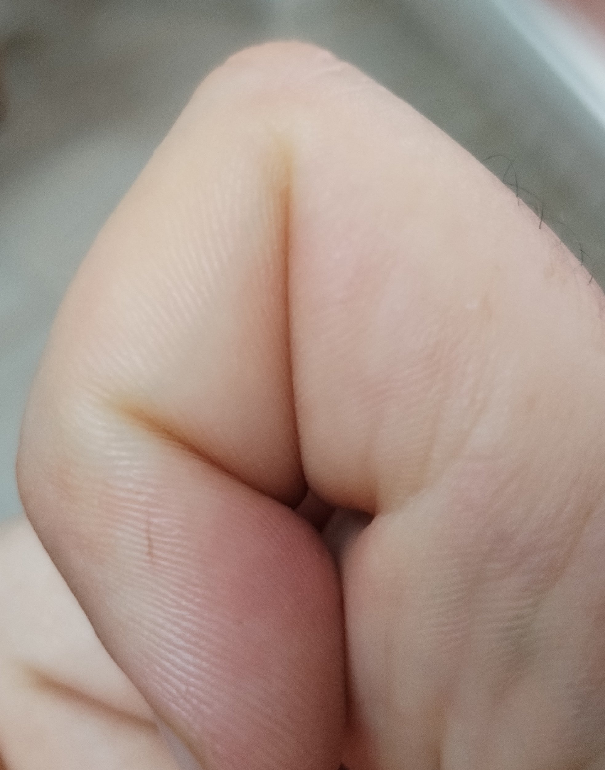1000087711.jpg