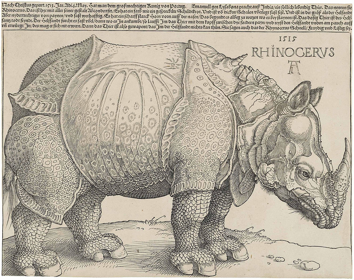 1515.jpg