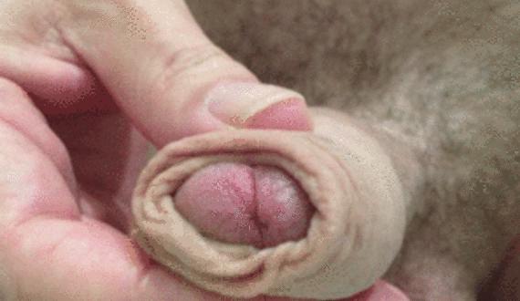 15329961_imageedit_61_9054296155.gif 15329961_imageedit_61_9054296155.gif