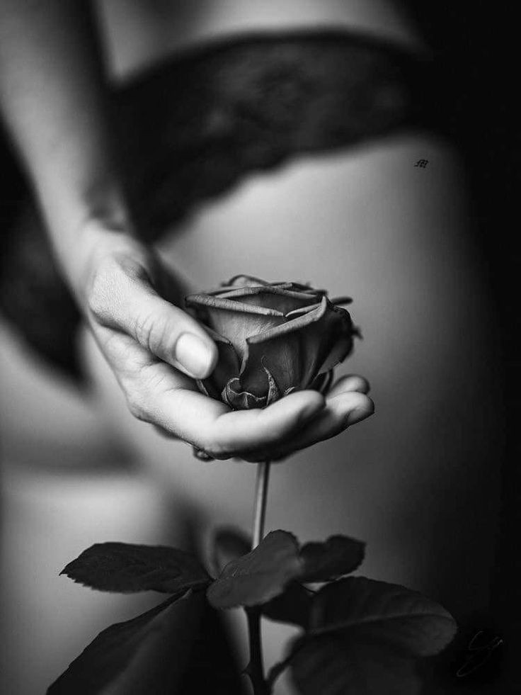 173f754893e6d4618fb980e3f9a8f519.jpg 173f754893e6d4618fb980e3f9a8f519.jpg