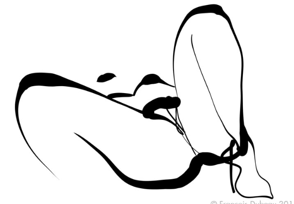 1747419456466.png