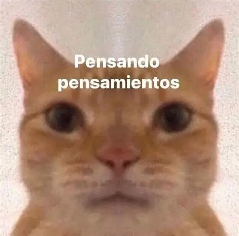 1751515231602.jpeg