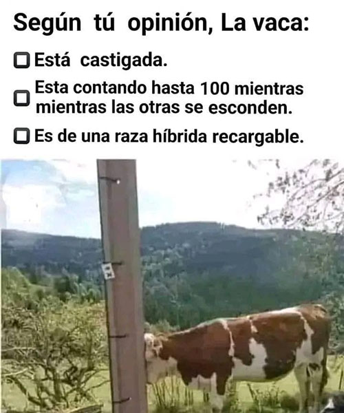 1752928699441.png