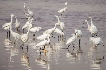 1753386466840.png