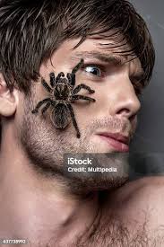 1756818653827.jpeg