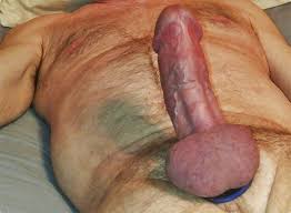 1761642940507.jpeg 1761642940507.jpeg