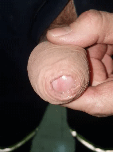 20190205_235213_1.gif 20190205_235213_1.gif