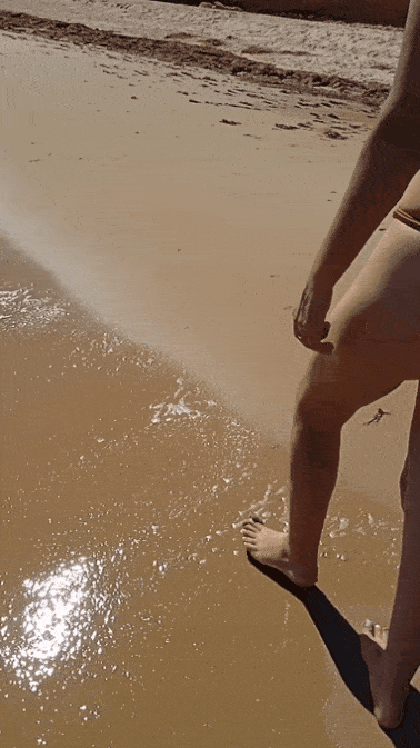 20221128_181230.gif 20221128_181230.gif