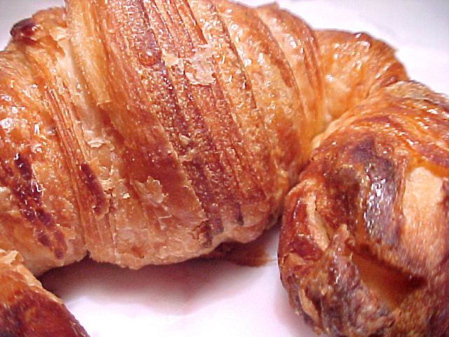 20240209 jepet.jpg 20240209 jepet.jpg