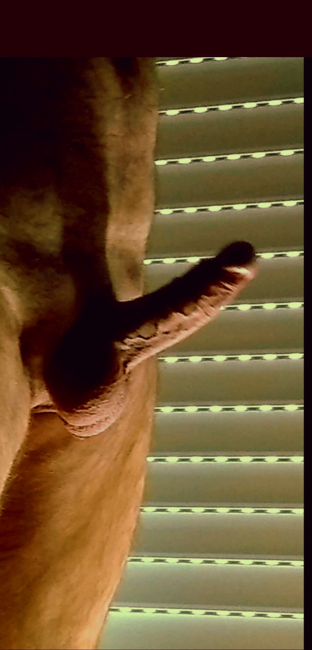 20240309_220816.jpg