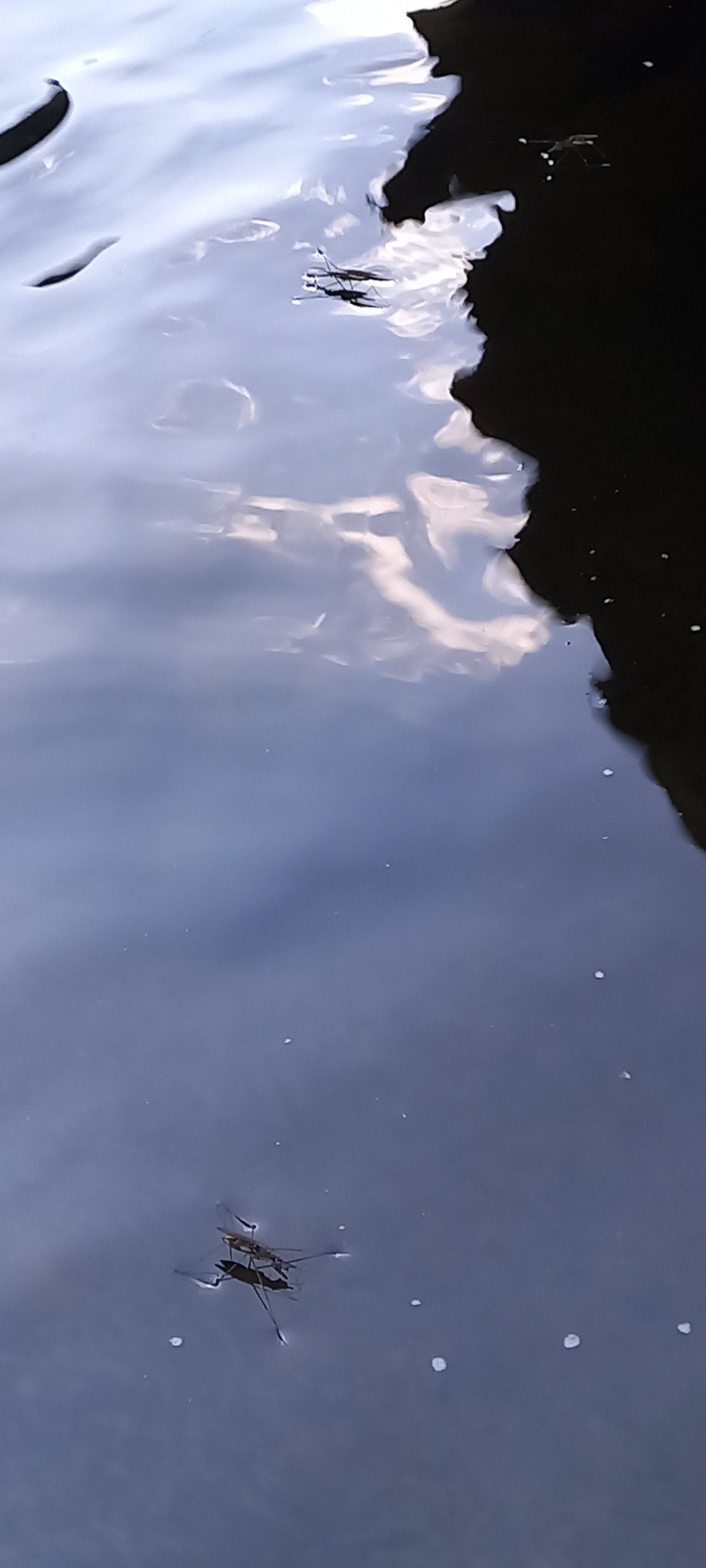 20250710_181613.jpg