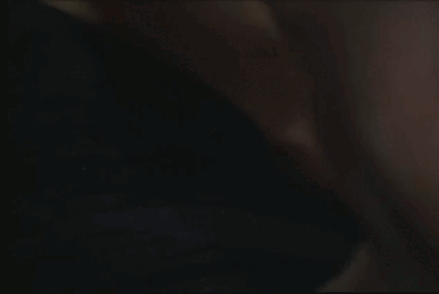 20260401_201238 (online-video-cutter.com).gif