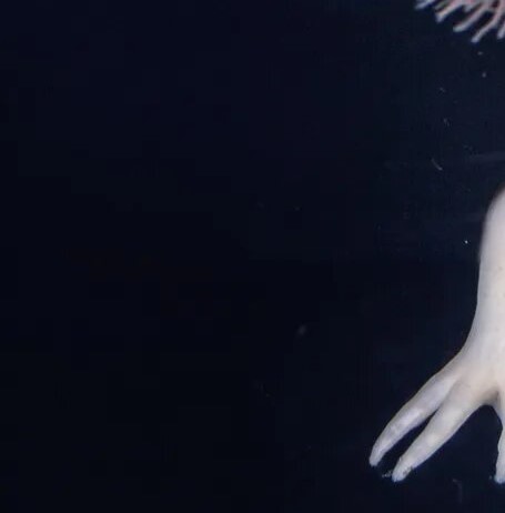 328.jpg