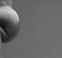 439_1000.gif