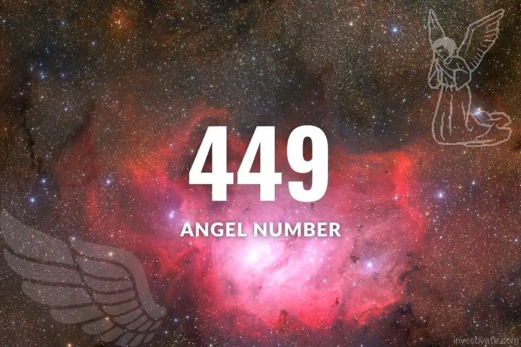 449.jpg