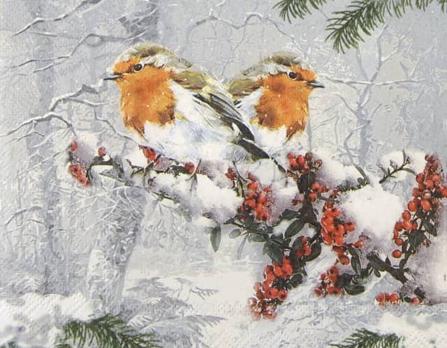 5614-Winter-Birds.jpg