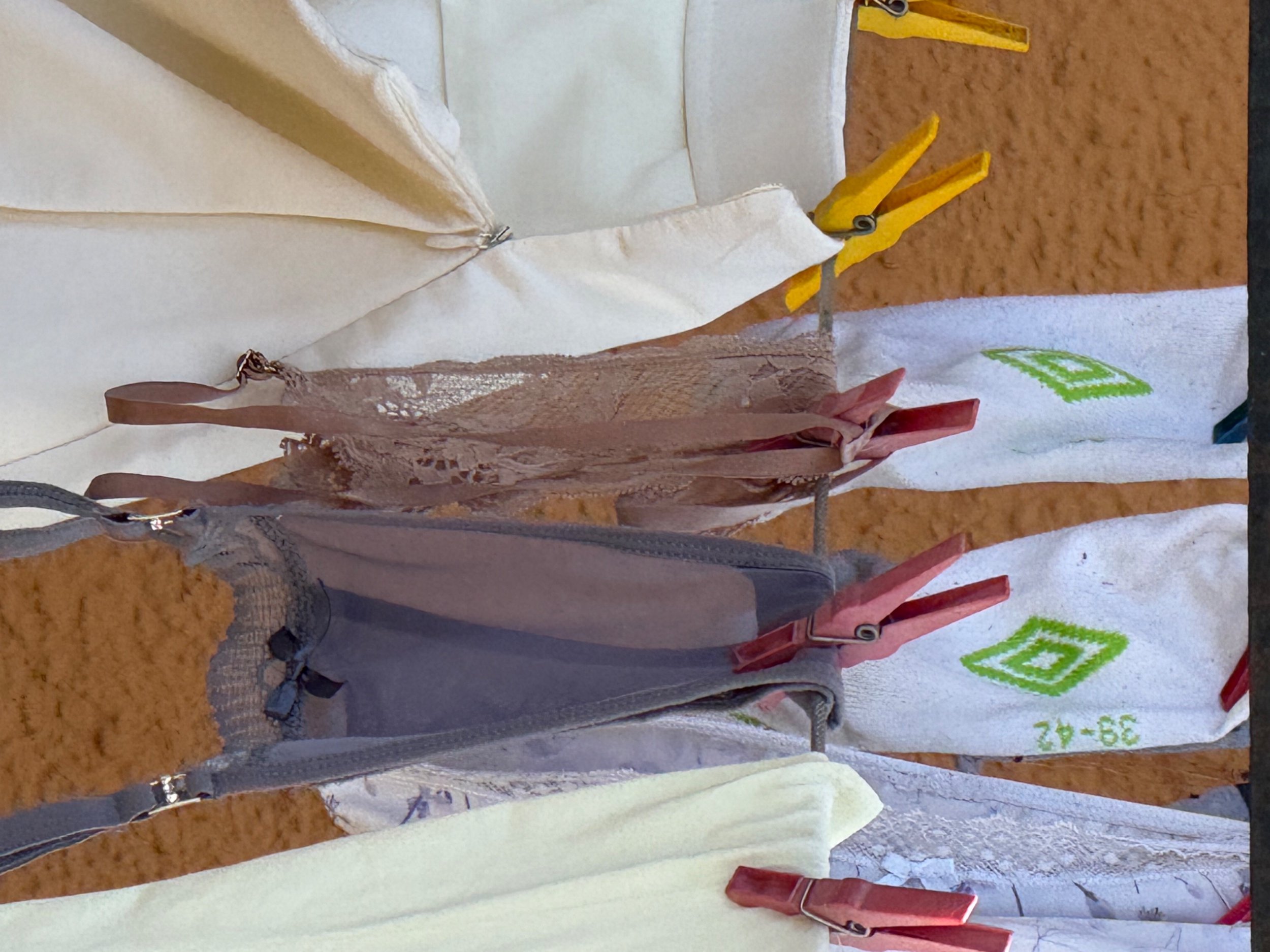 7315594F-21C5-4512-B9DB-9C72233BD9E2.jpeg 7315594F-21C5-4512-B9DB-9C72233BD9E2.jpeg