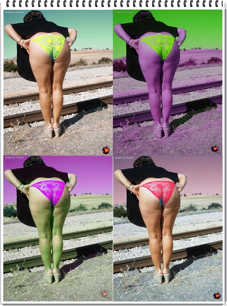 7957100_susan8bb.jpg
