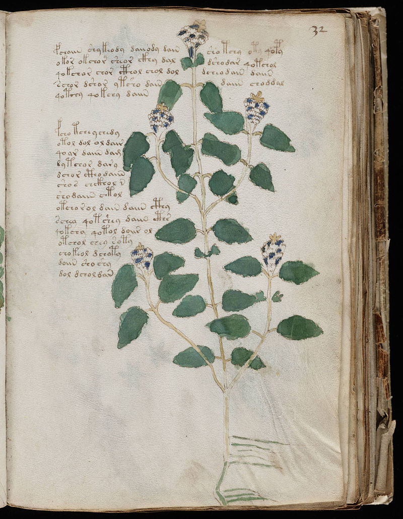 800px-Voynich_Manuscript_(63).jpg