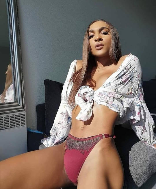 963569.jpg