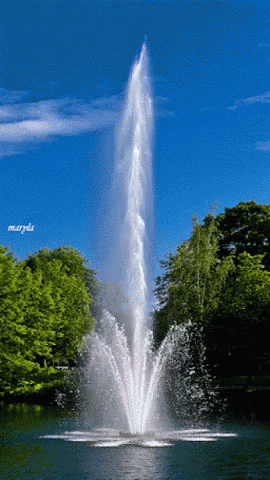 agua-chorro-en-lago-entre-vegetacion.gif