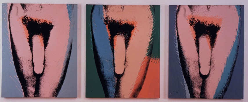 Andy-Warhol-Penis 3.jpg