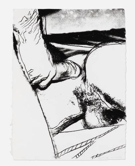 andy_warhol_untitled_i_from_the_sex_parts_series.png