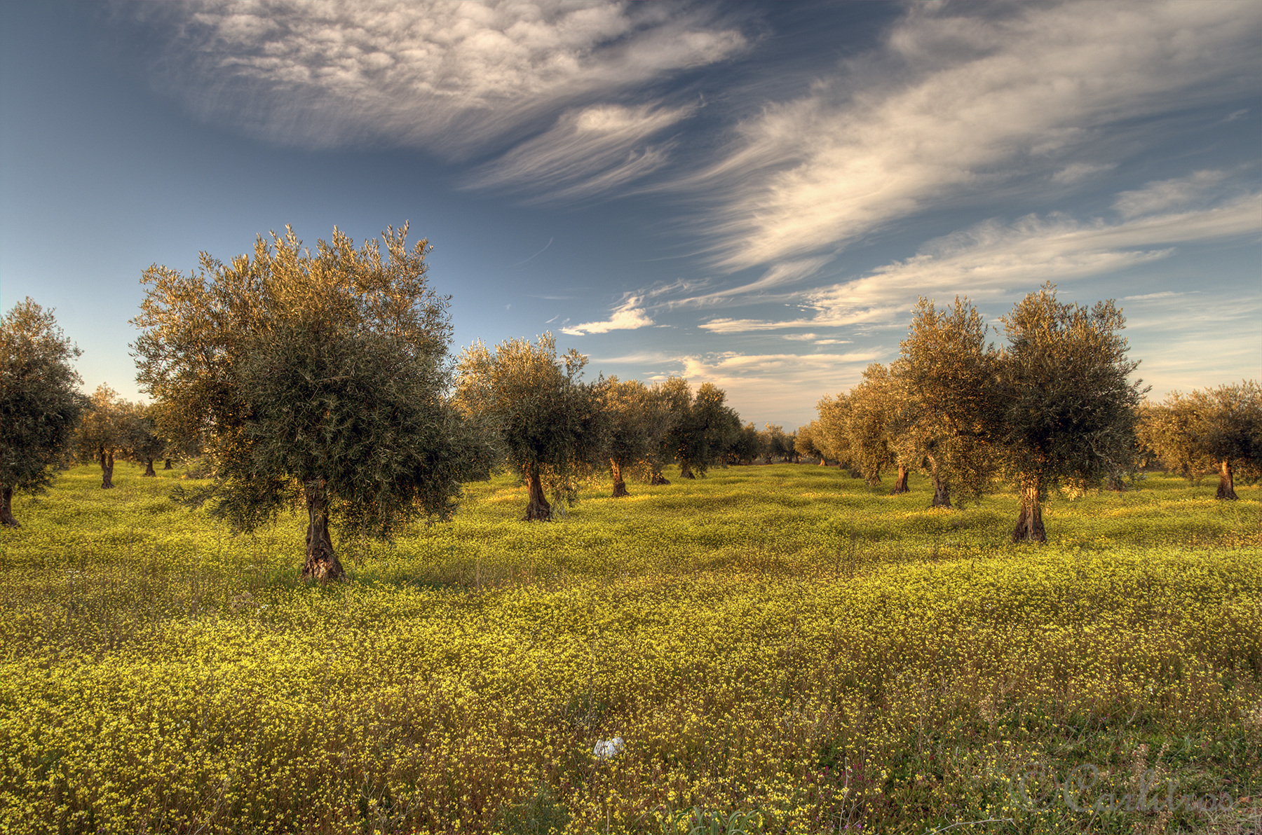 Atardecer primavera.jpg