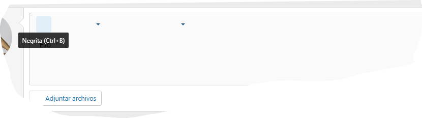 Captura de pantalla 2026-01-11 150305.png