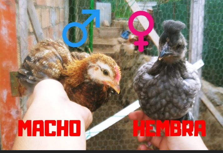 Captura de pantalla (4011).png