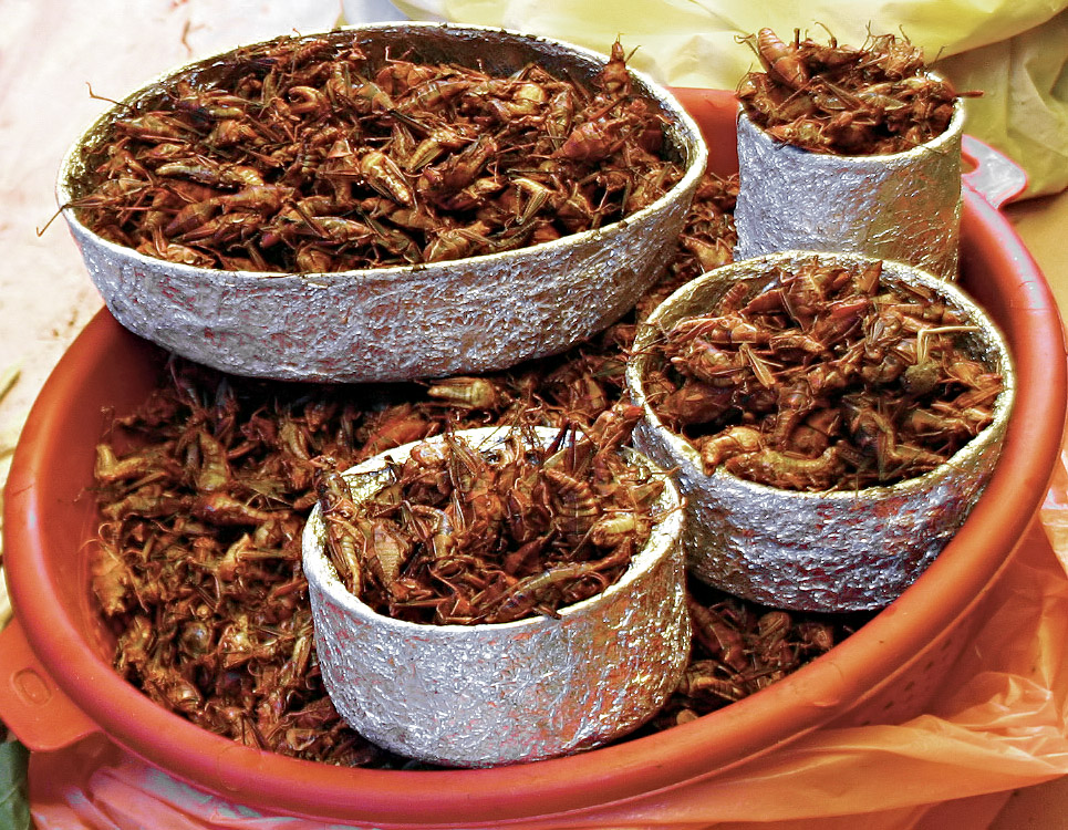 Chapulines.jpg