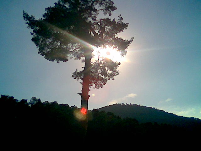 cima y sol.jpg