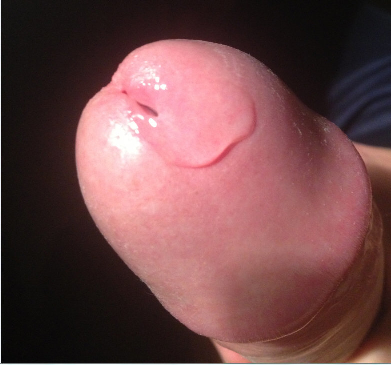 cum jxx-precum-head.jpg