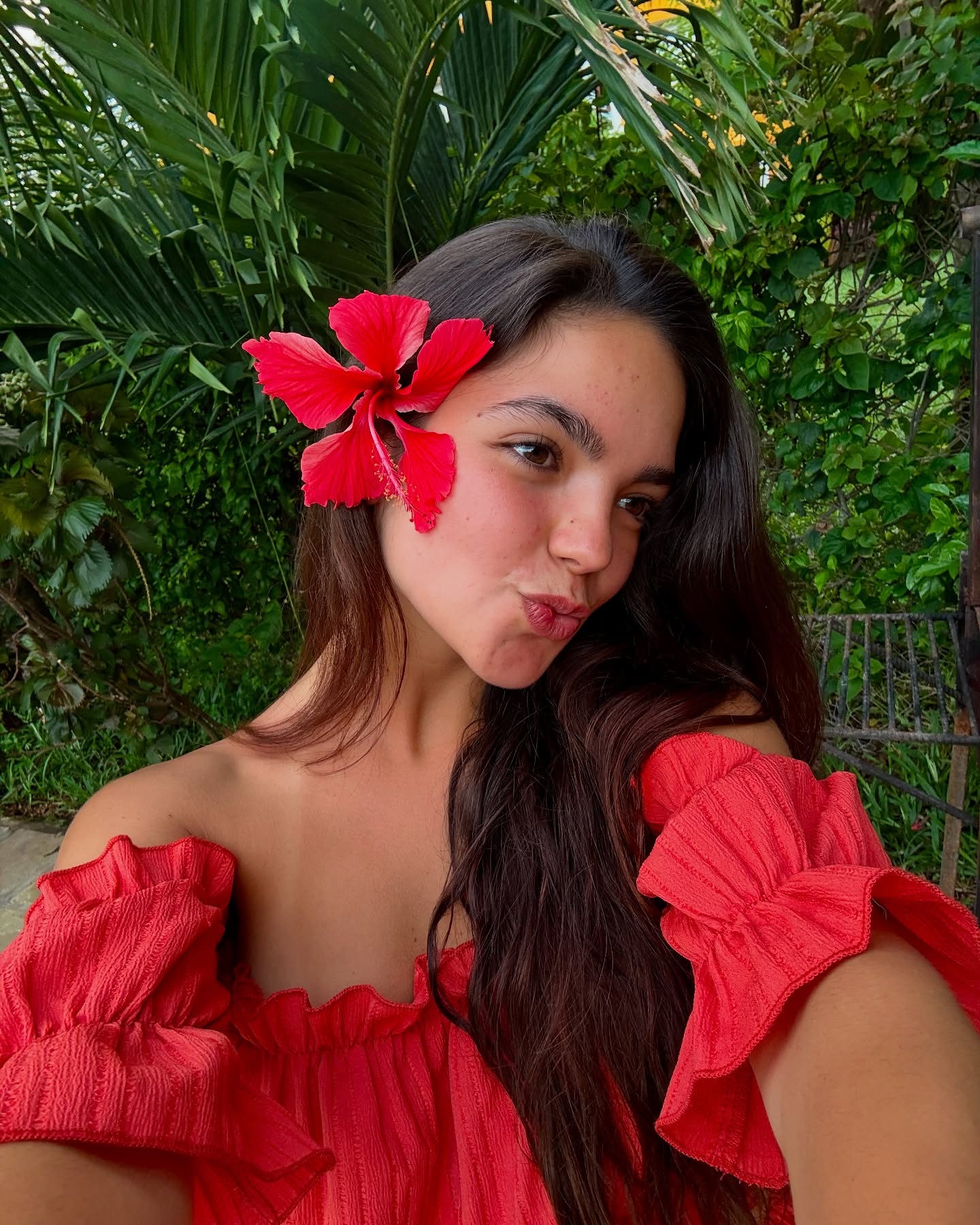 Dafne (3).jpg