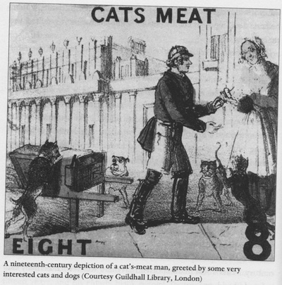 dibujo-del-siglo-xix-de-un-cats-meat-man.jpg