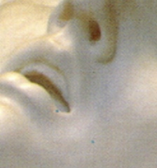 Dolor placer.jpg