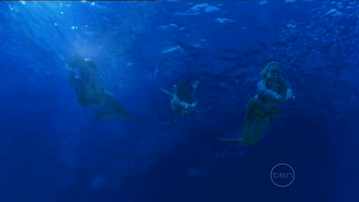 e0c239afdb53fa13fde1fef8437534c8.gif