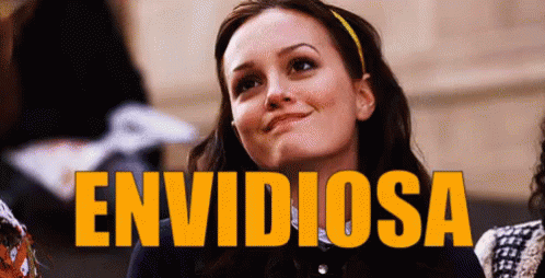envid.gif