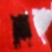 fragmento239.jpg fragmento239.jpg