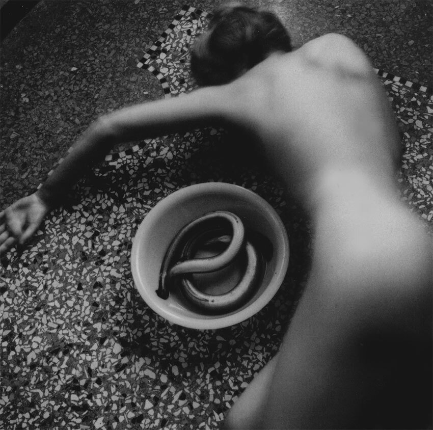 francesca woodman eel.jpg