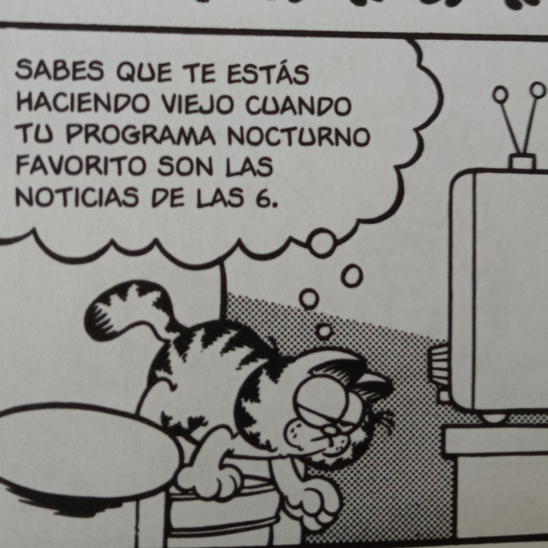 garfield.jpg garfield.jpg