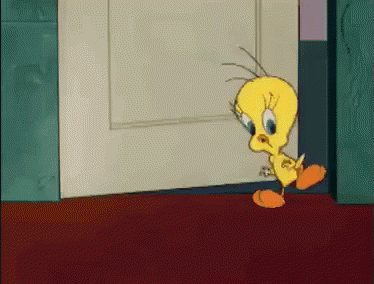 gatito.gif