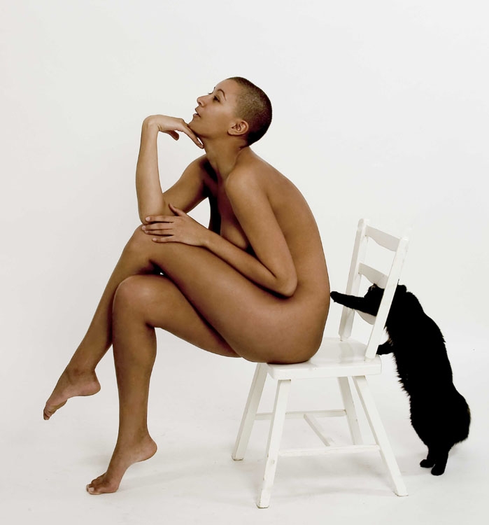 gatosilla.jpg