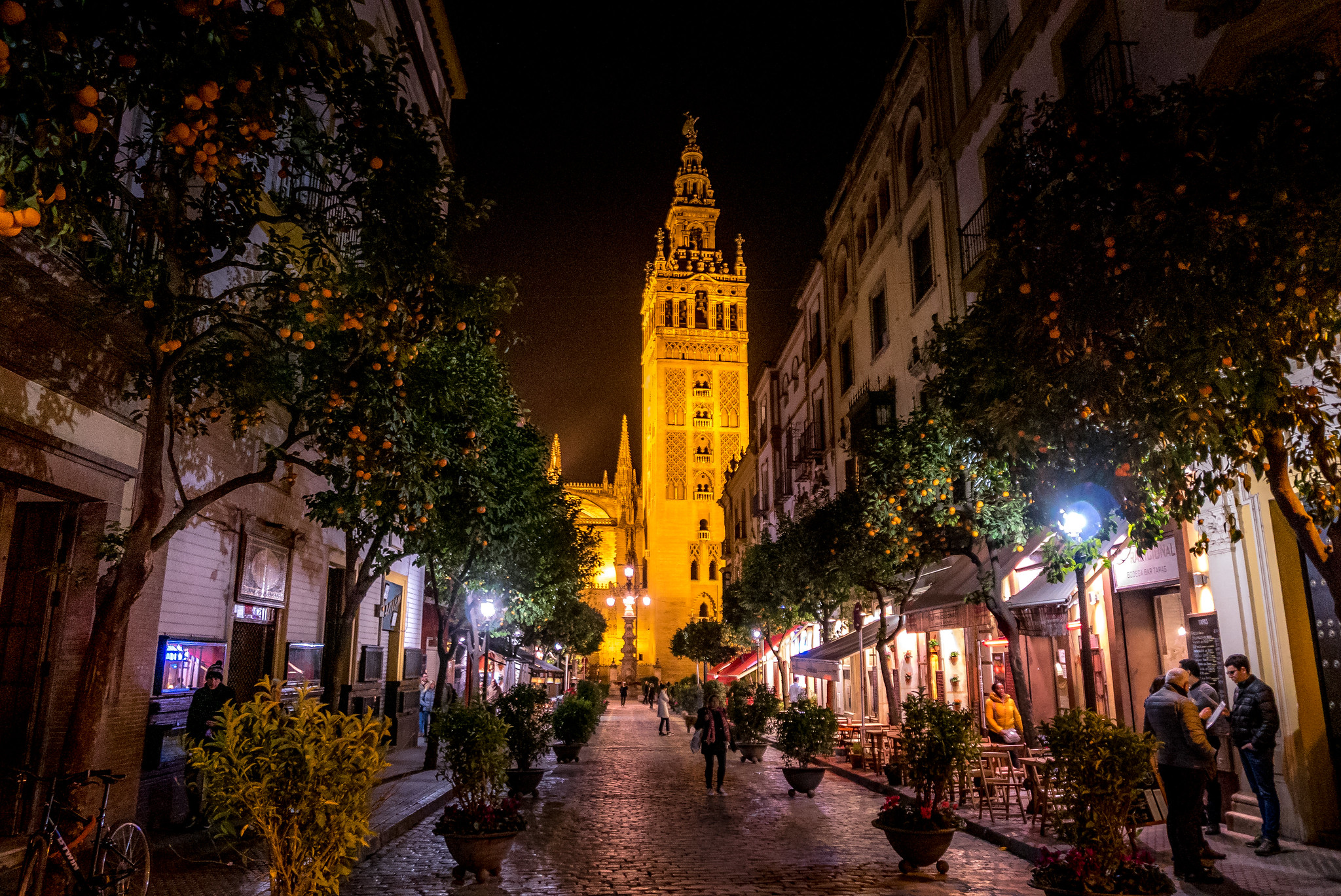 giralda-sevilla-noche.jpeg