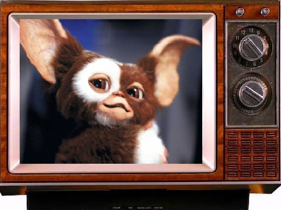 Gizmo ( Gremlins).jpg