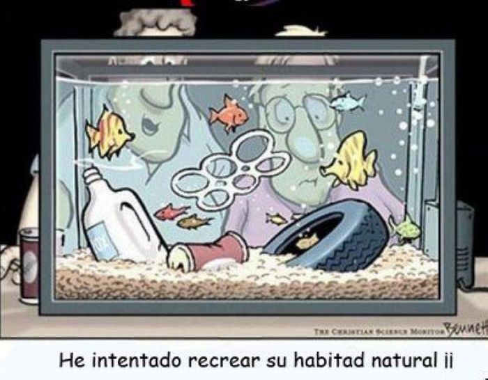 habitat-natural-peces.jpg