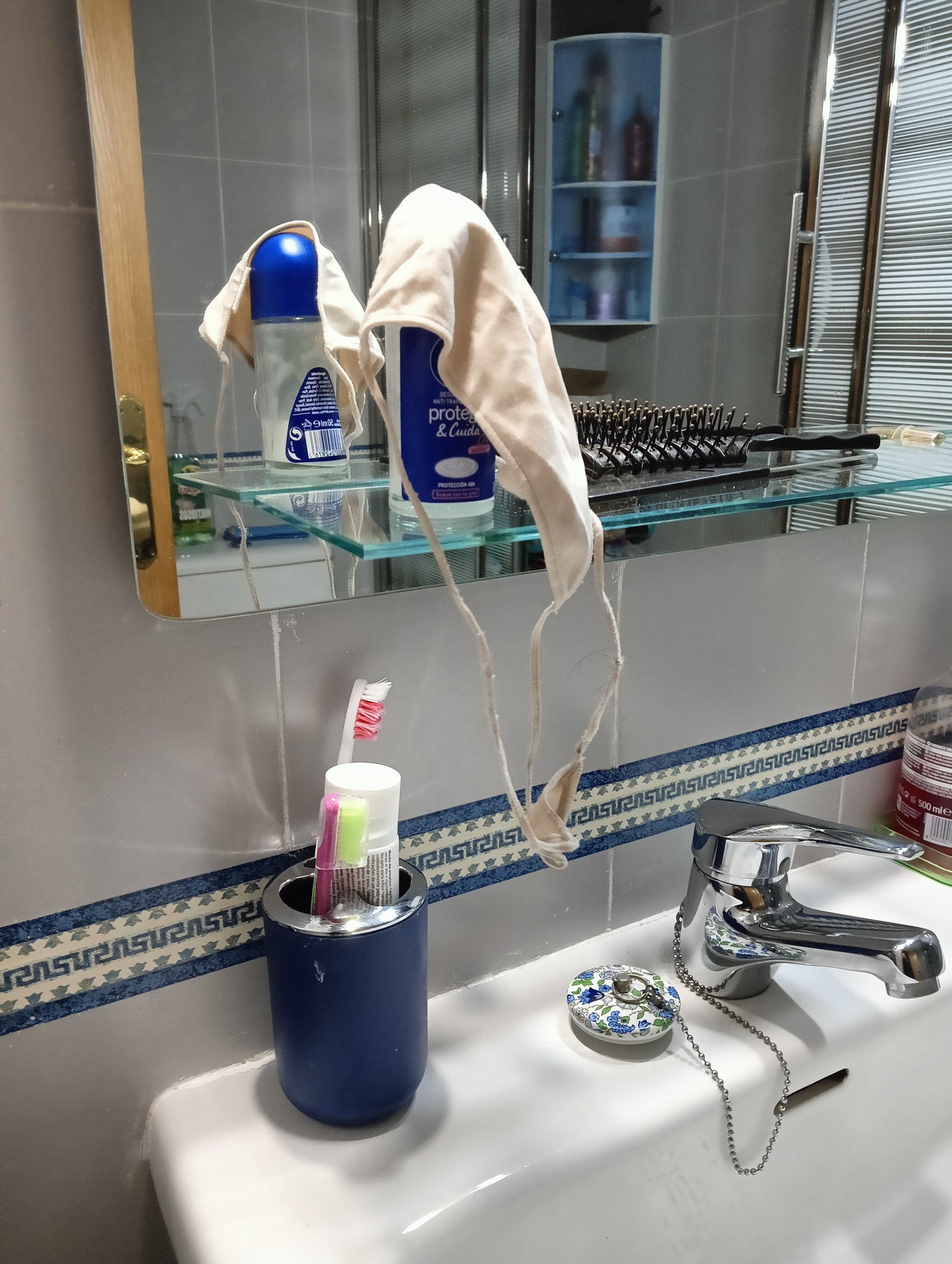 IMG20240522122238.jpg IMG20240522122238.jpg